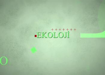 MEDYA EKOLOJİ