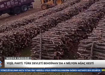 MEDYA EKOLOJİ