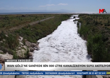 MEDYA EKOLOJİ