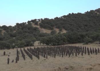 HPG KASIM AYI SAVAŞ BİLANÇOSUNU AÇIKLADI